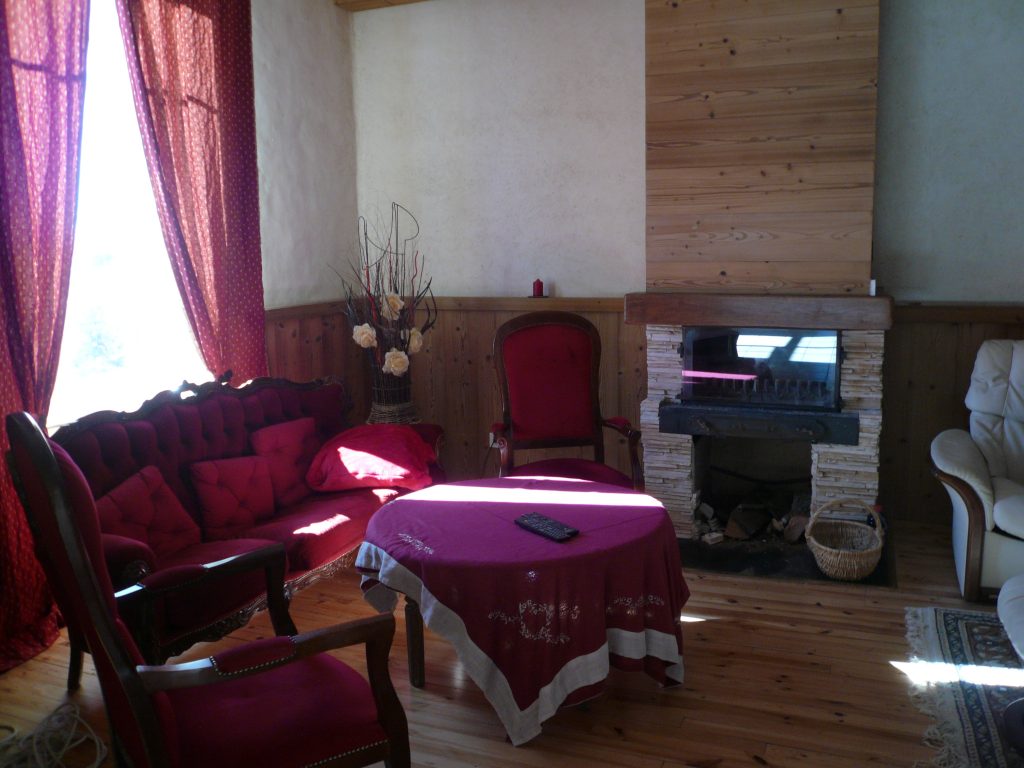 Petit salon avec cheminée et télévision
